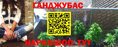 стаф Братск